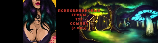 PSILOCYBIN Беломорск
