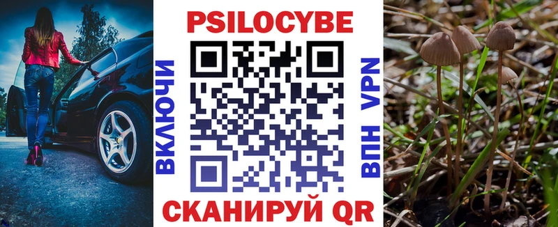 Псилоцибиновые грибы мицелий  купить наркоту  Яхрома 